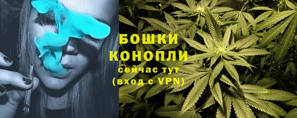 ГАЛЛЮЦИНОГЕННЫЕ ГРИБЫ Армянск