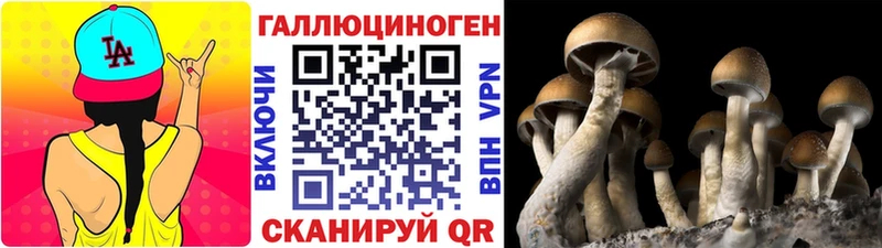 Псилоцибиновые грибы MAGIC MUSHROOMS shop телеграм Микунь omg рабочий сайт